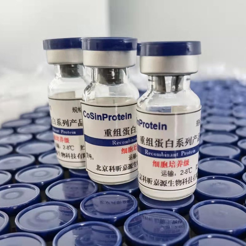 嗜酸性粒细胞:解锁其在生物医药研发中的奥秘