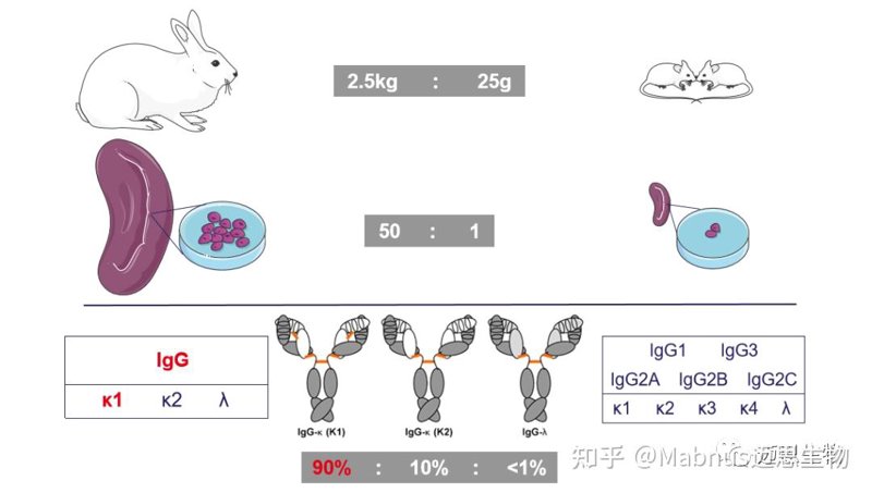 生物技术考研方向及学校选择：如何做出明智决定