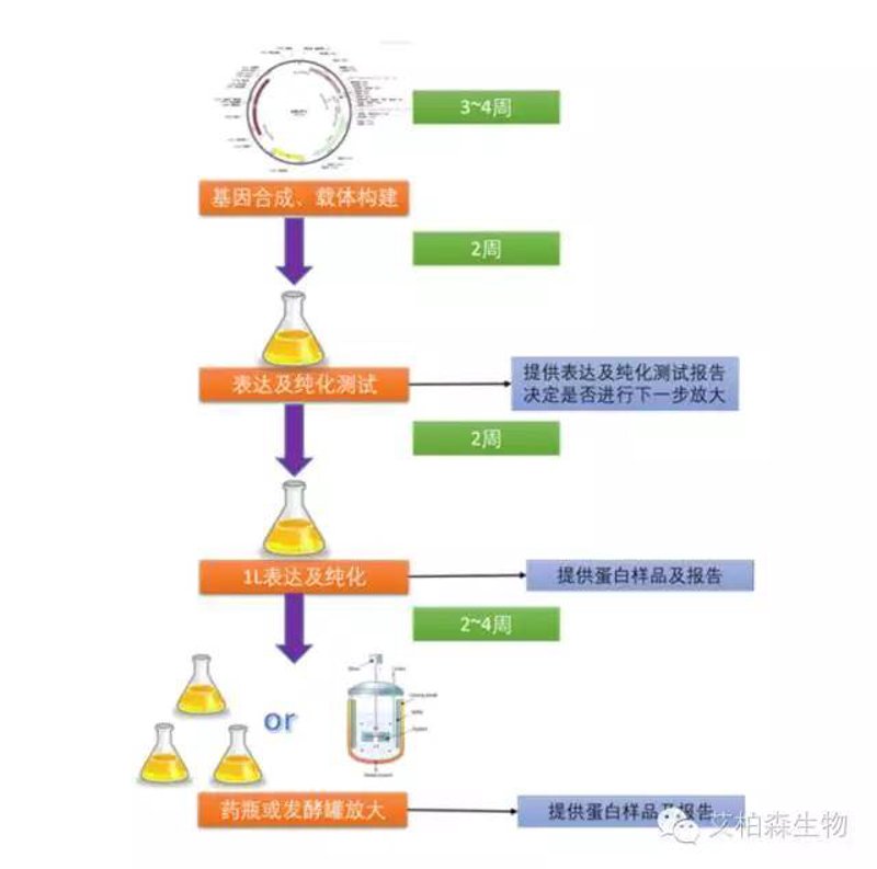 检验检疫技术中心：未来趋势与发展方向解析